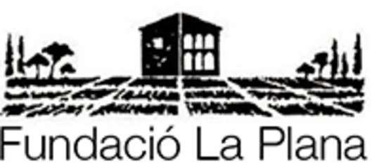17_Fundació Privada La Plana.png
